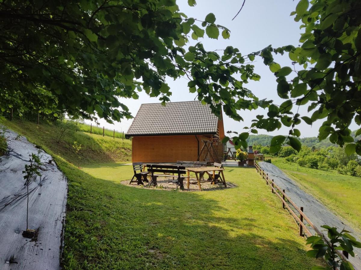 Chaty Na Cholewicy Domki Caloroczne Solina  Buitenkant foto